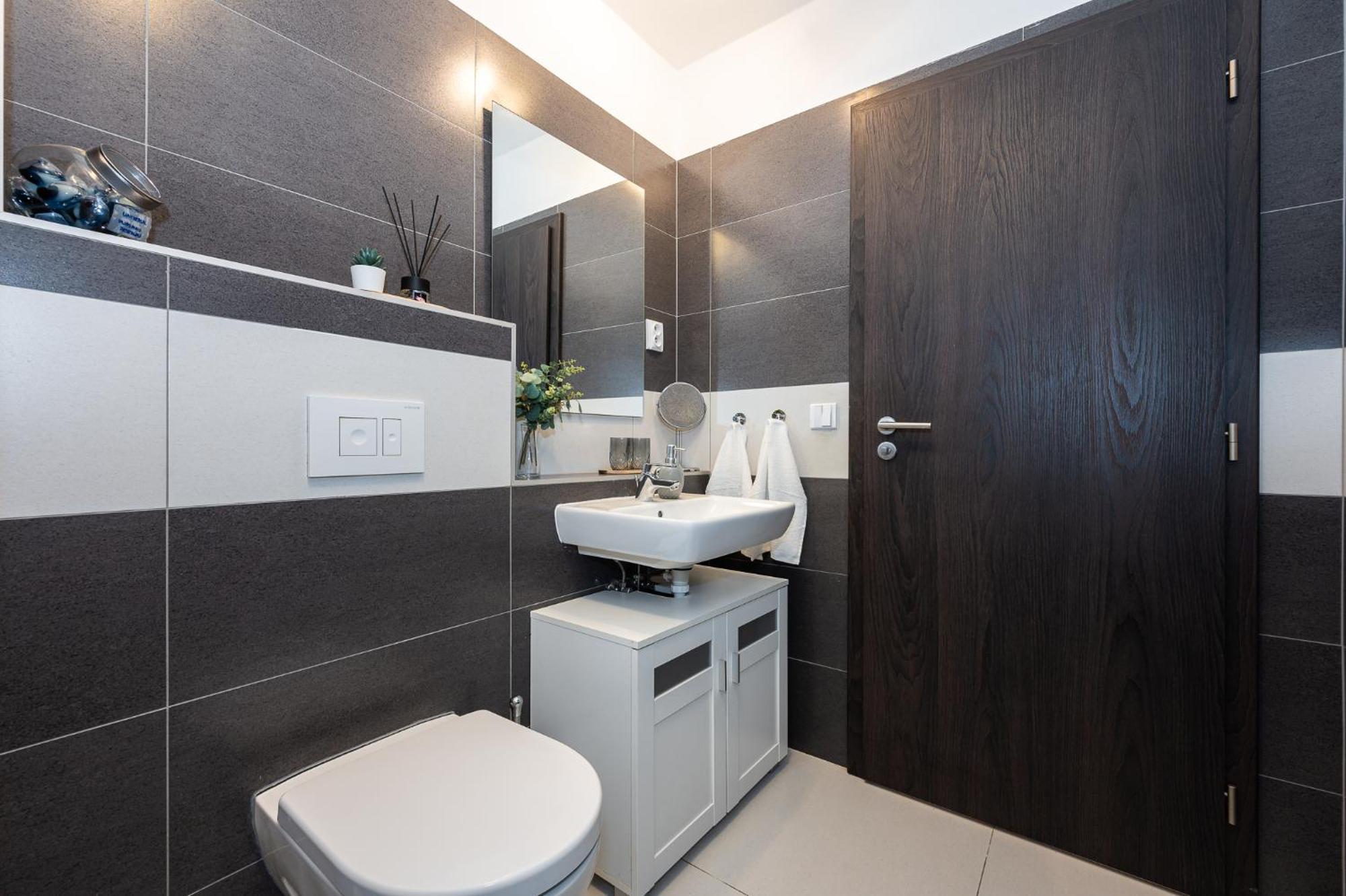 Brno City Apartment דירה ברנו